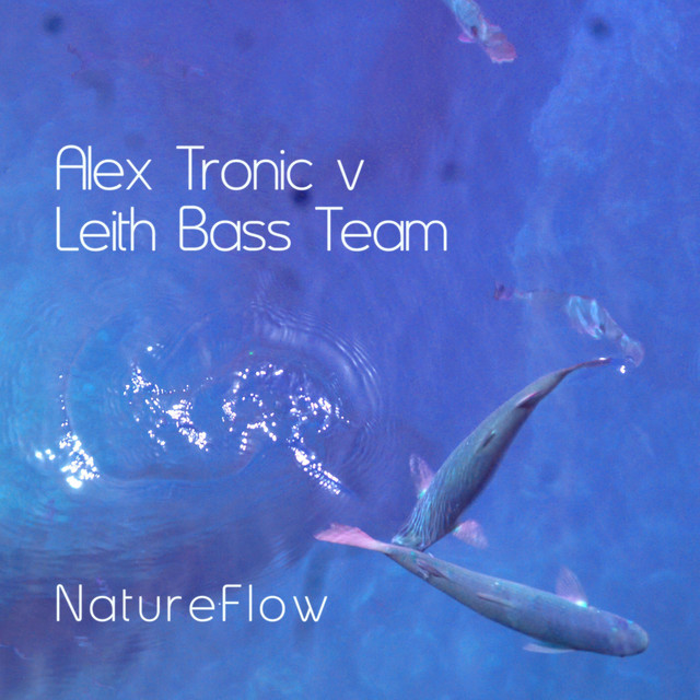 Nature Flow cover