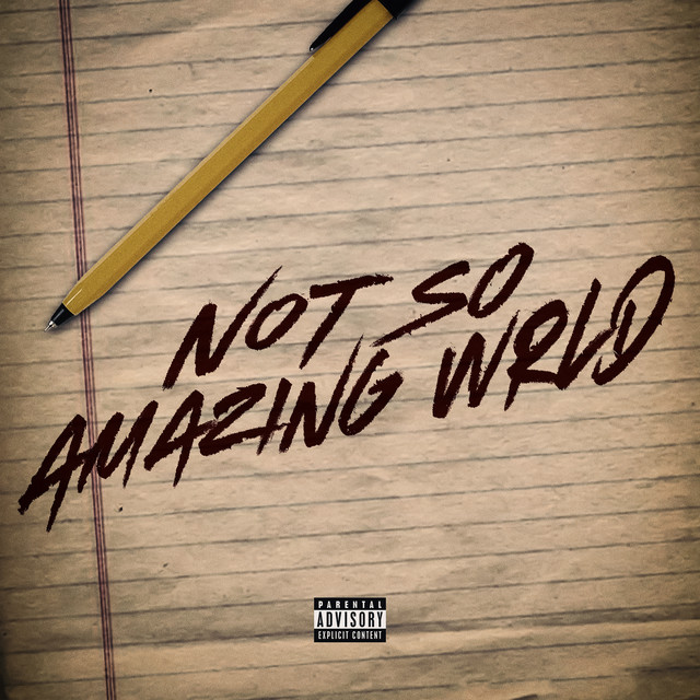 Not so Amazing World cover art