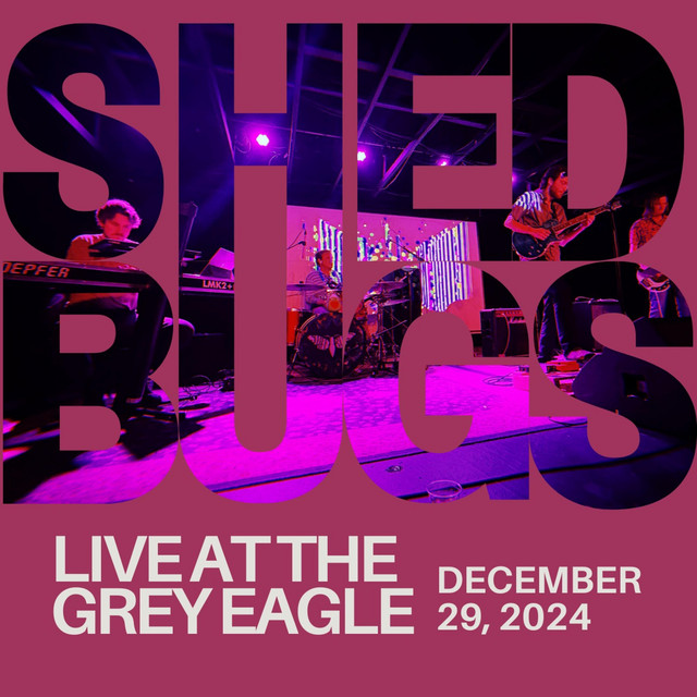 Live at Grey Eagle 2024 cover art