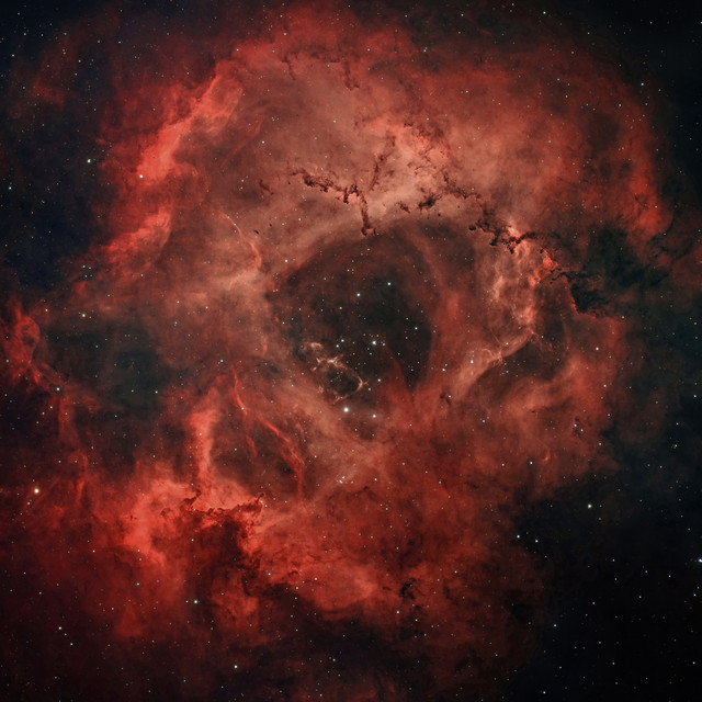 ROSETTE cover art