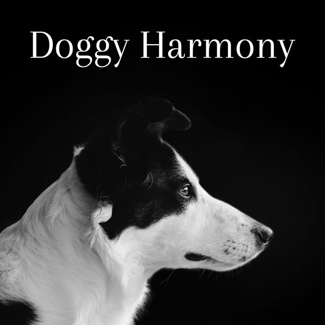 Doggy Harmony cover art