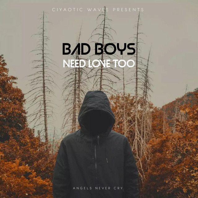 BAD BOYS NEED LOVE TOO cover art