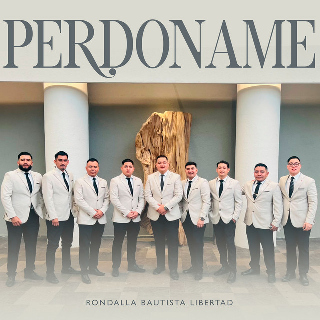 Perdoname album image