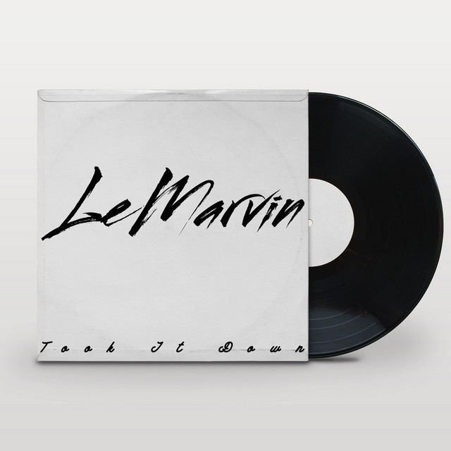 Took It Down cover