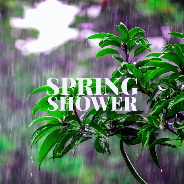 Spring Shower by Sleep Miracle