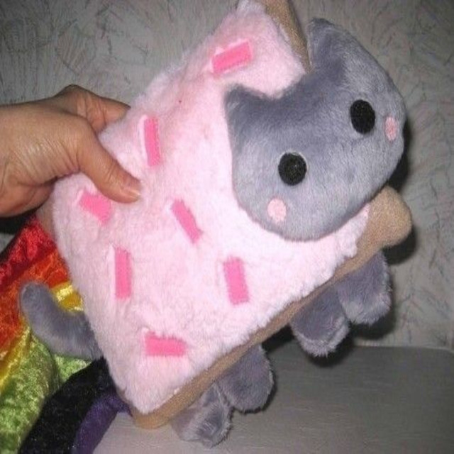 NYAN CAT SUICIDE NOTE (2012 RARE)