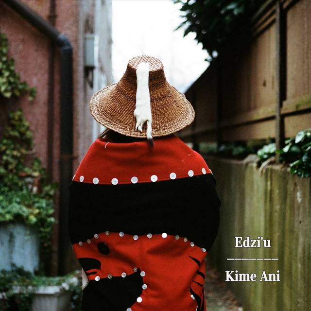 Kime Ani cover art