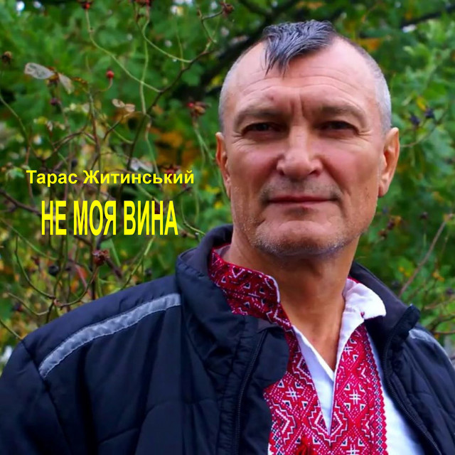 Cover art: Не моя вина — Тарас Житинський