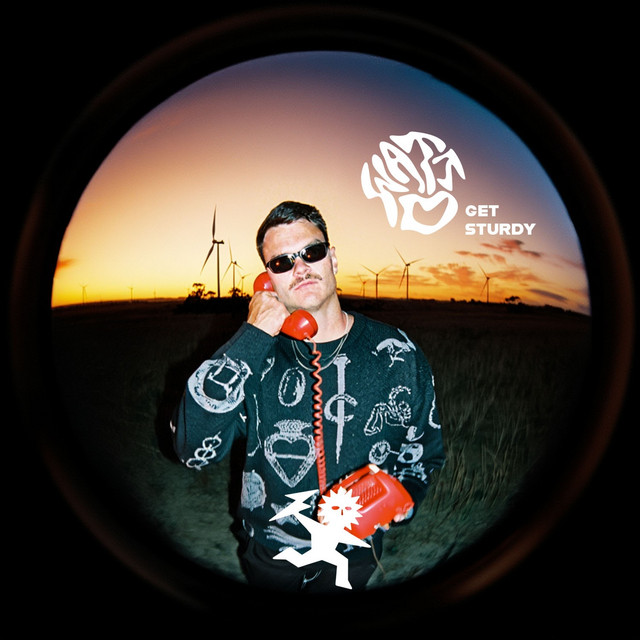 Get Sturdy cover art