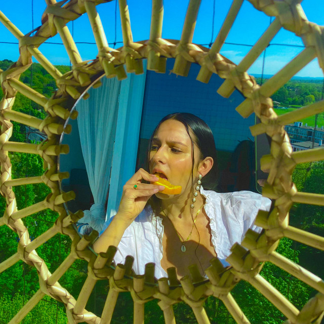 Carousel cover art