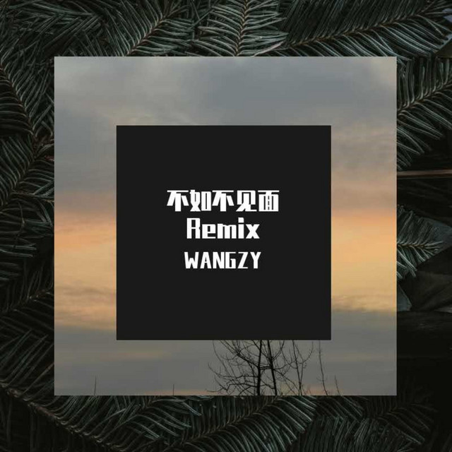 梁老师Tsong-不如不见面 (Remix版) cover art