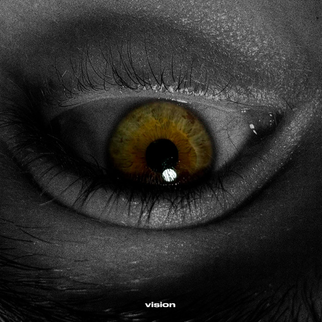 VISION cover art