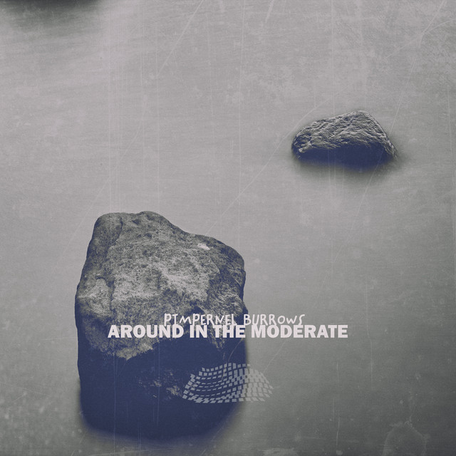 Around in the Moderate - Album by Pimpernel Burrows | Spotify