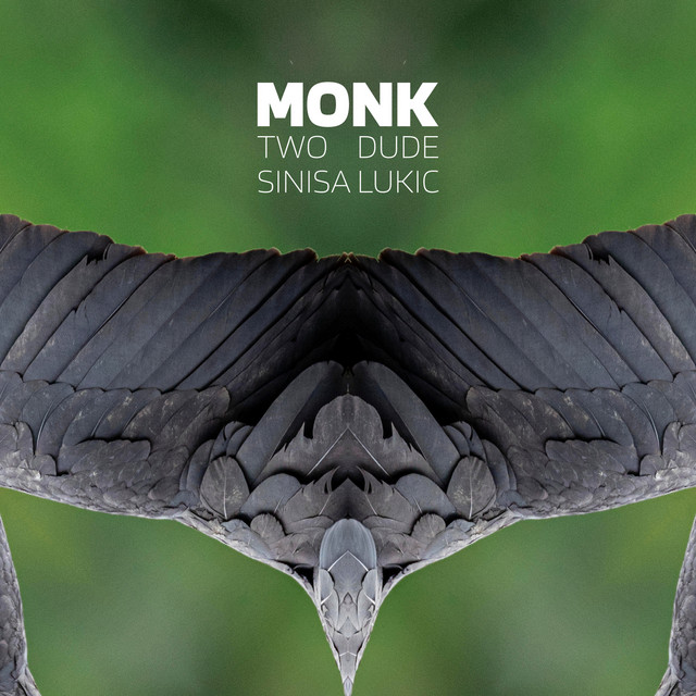 Monk - Radio Edit cover art
