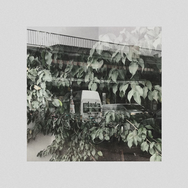 Forget Forgot Forgotten cover art