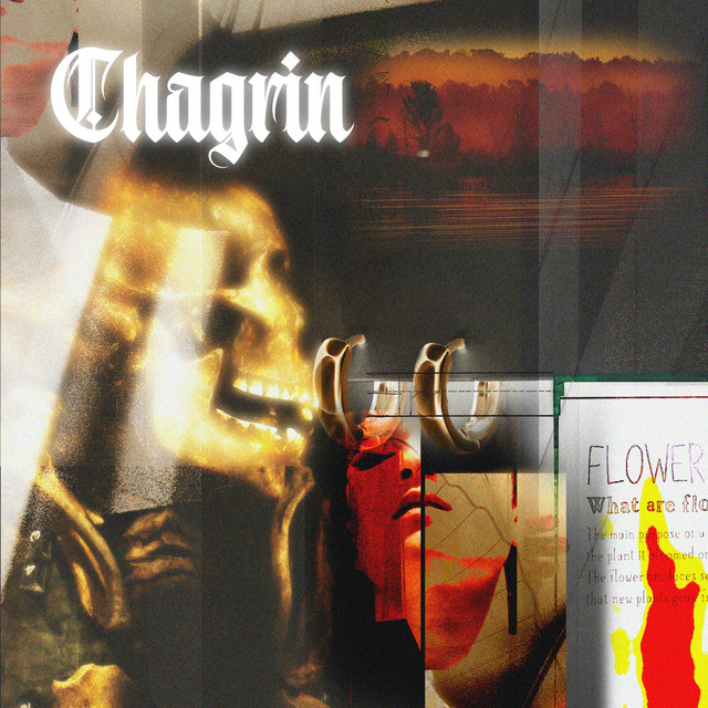 Chagrin cover art