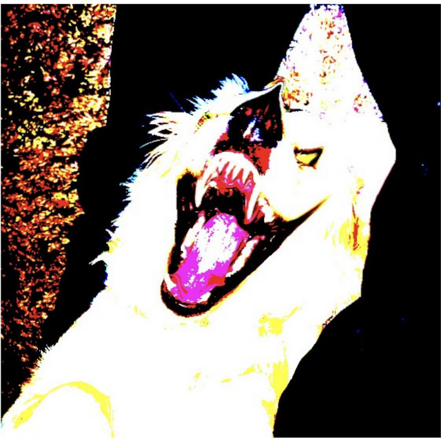 Break cover art
