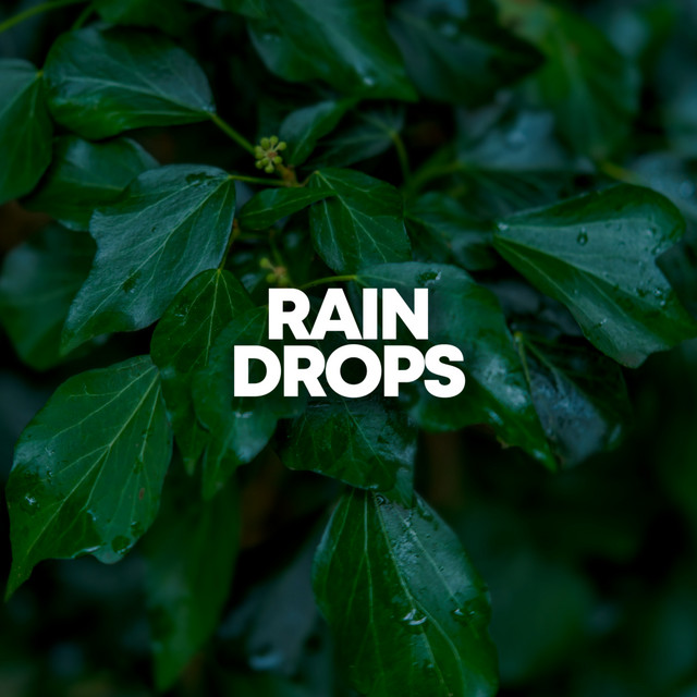 Rain Drops cover art