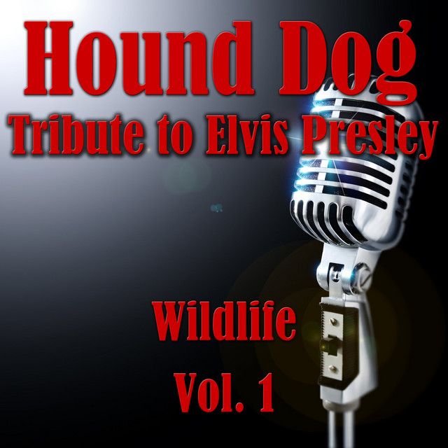 Hound Dog- Tribute to Elvis Presley, Vol. 1 cover art