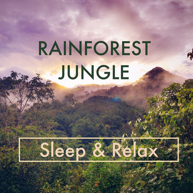 Rainforest Jungle Sounds - Sleep & Relax cover art
