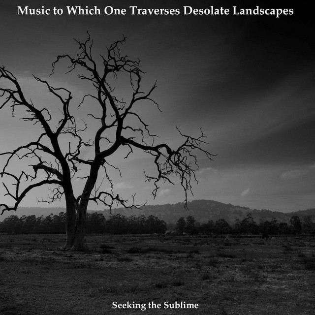 Music to Which One Traverses Desolate Landscapes