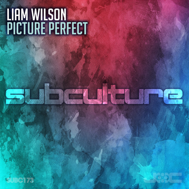 Picture Perfect album art