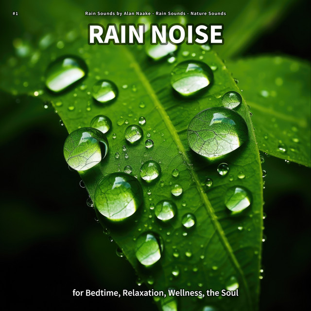 #1 Rain Noise for Bedtime, Relaxation, Wellness, the Soul cover art