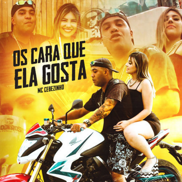 Os Cara Que Ela Gosta cover art