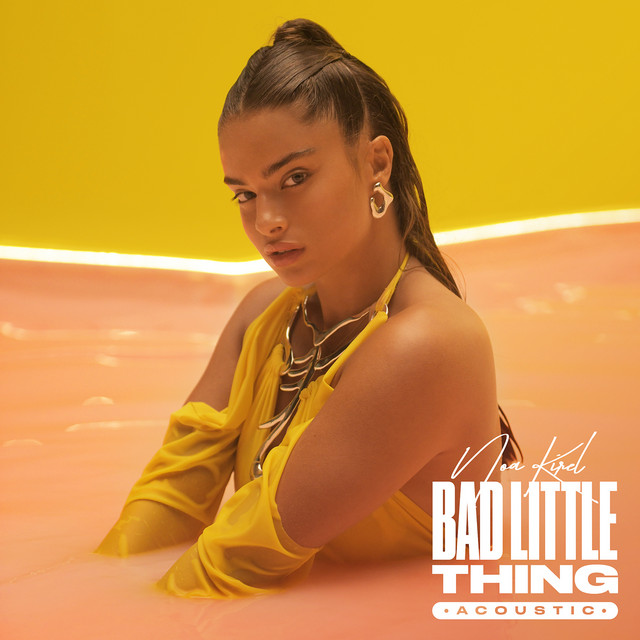 Cover du titre Bad Little Thing (Acoustic)