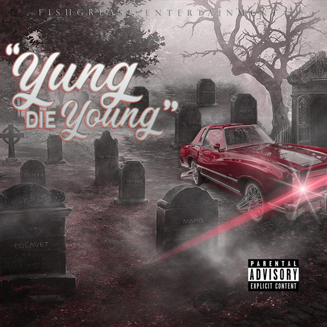 Swangin' cover art