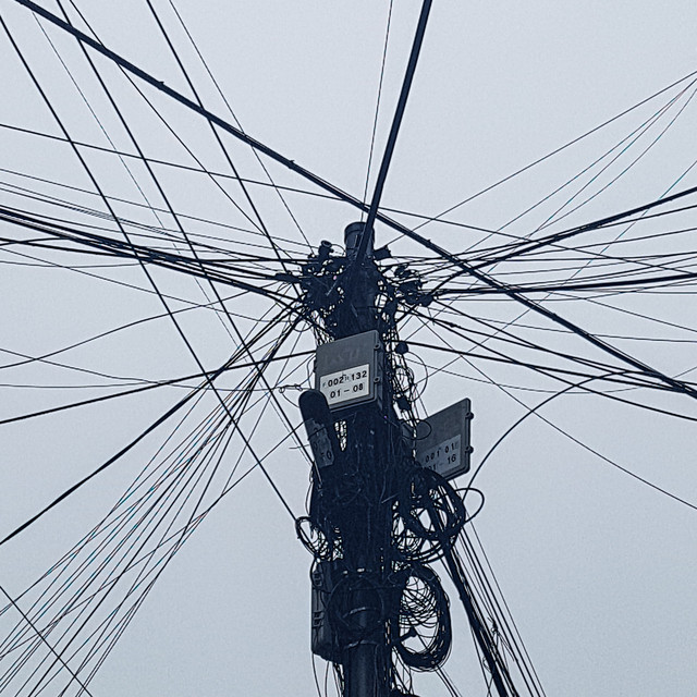 신디