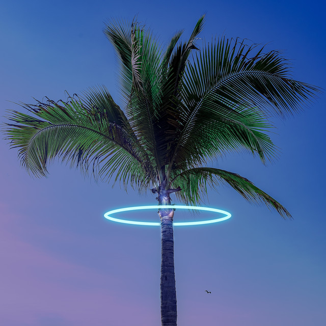 Paradise cover art