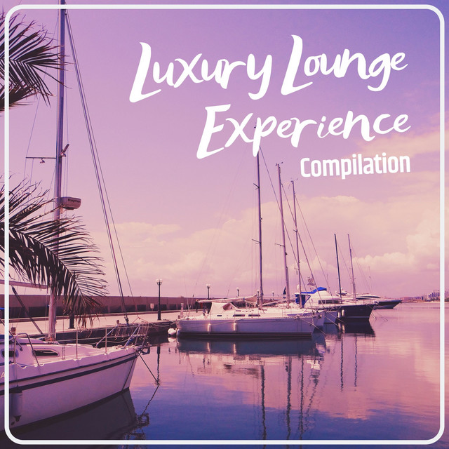 Visual Reference: Luxury Lounge Experience Compilation