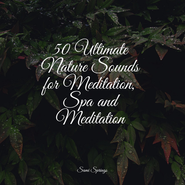 50 Ultimate Nature Sounds for Meditation, Spa and Meditation - Album by ...