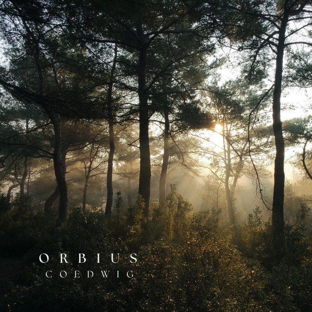 Coedwig cover art
