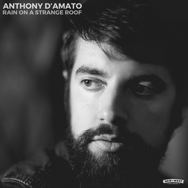 Rain On A Strange Roof - Anthony D'Amato