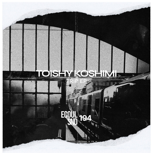 Обкладинка Toishy Koshimi — Trip