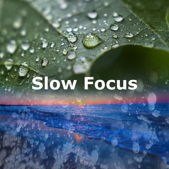 Slow Focus - Album by Sleep, Study, Focus | Spotify
