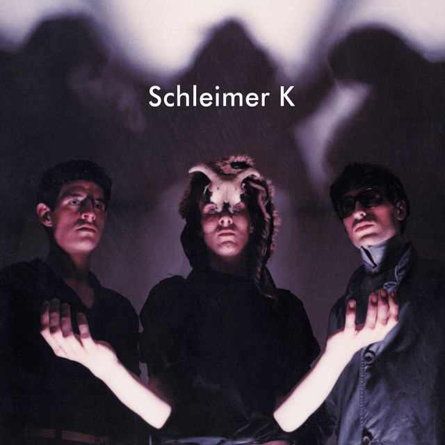 Schleimer K cover