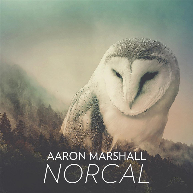 Norcal cover art