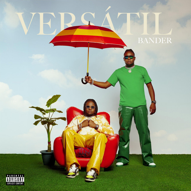 É Fudida cover art