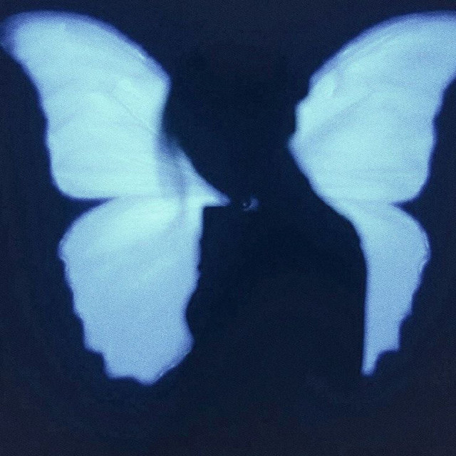 Butterfly affect cover art
