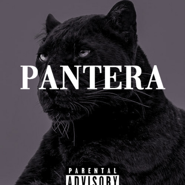 PANTERA cover art