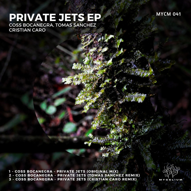 Private Jets album art