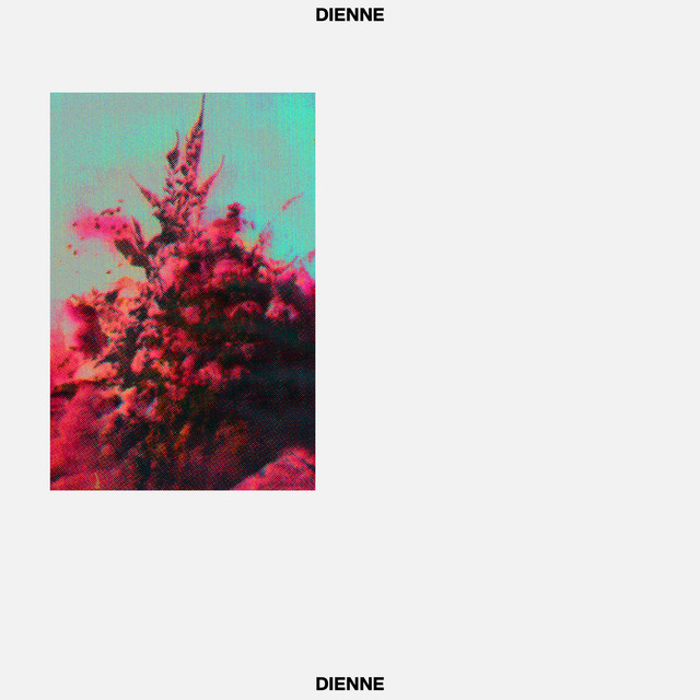 Addio cover art