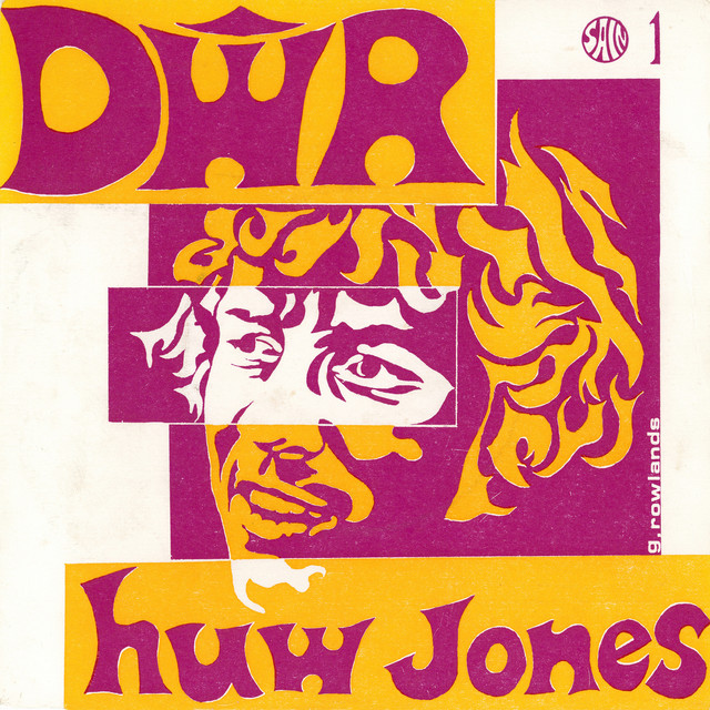 Dŵr cover