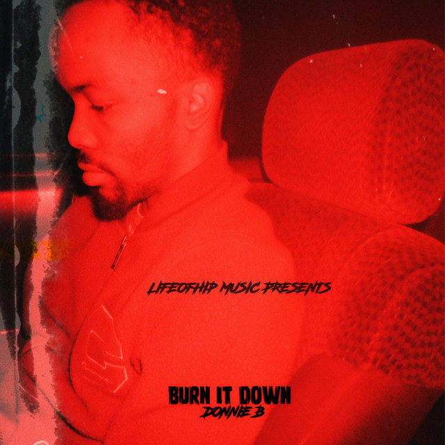 Burn It Down - Single by Donnie B | Spotify
