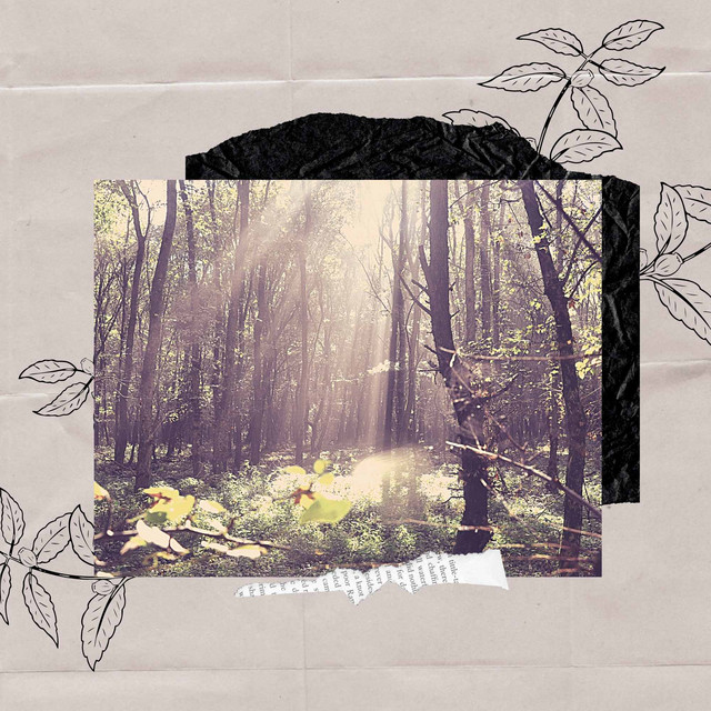 Echoes of December Mornings cover art