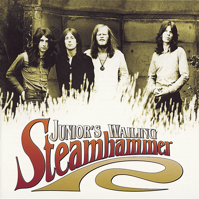Junior's Wiling cover art
