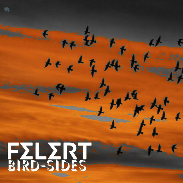 Bird Sides cover art